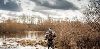 10 Best Game Trail Cameras Under $100 Best Game Cameras Under $100