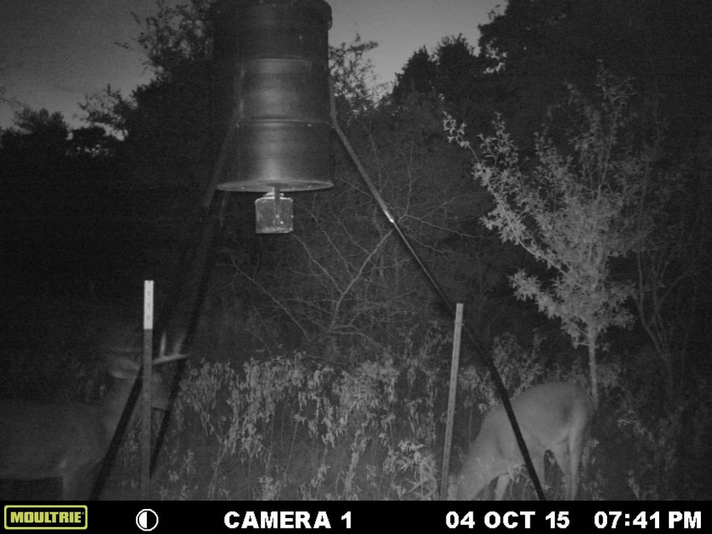 How To Use A Game Trail Camera For Security Game Camera World