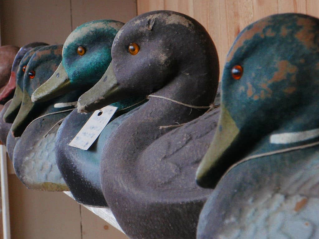 7 Best Duck, Goose, and Waterfowl Decoys Reviews