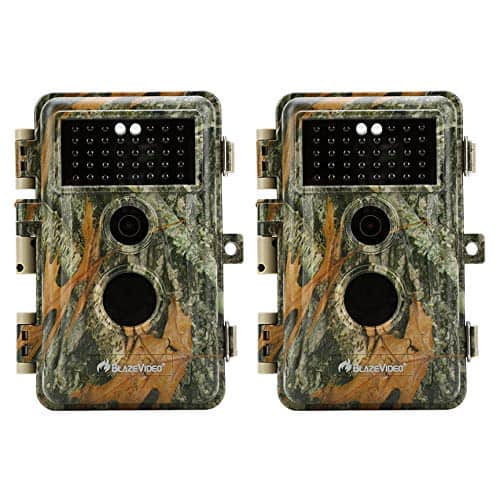 BlazeVideo Trail Camera Reviews Game Camera World